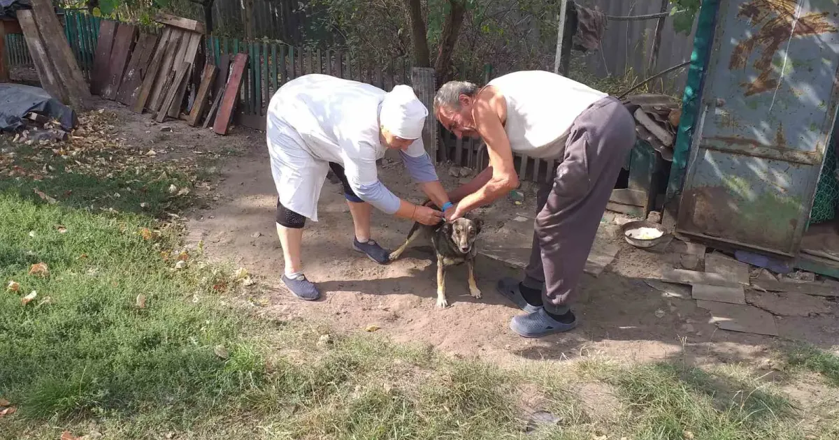 Ілюстративне фото Вакцинація домашніх тварин проти сказу в Зміївській громаді 2-7 жовтня на порталі Gromada Group