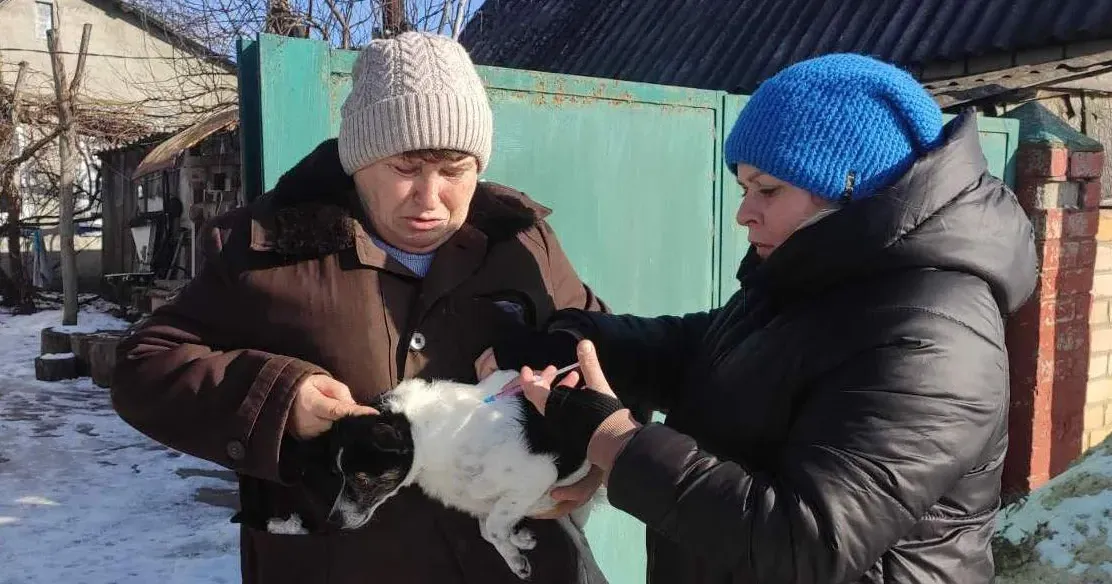 Фото - фейсбук/Чугуївське районне управління Головного управління Держпродспоживслужби в Харківській області. 90 собак і котиків щепили ветеринари в Зміївській громаді протягом минулого тижня на порталі Gromada Group
