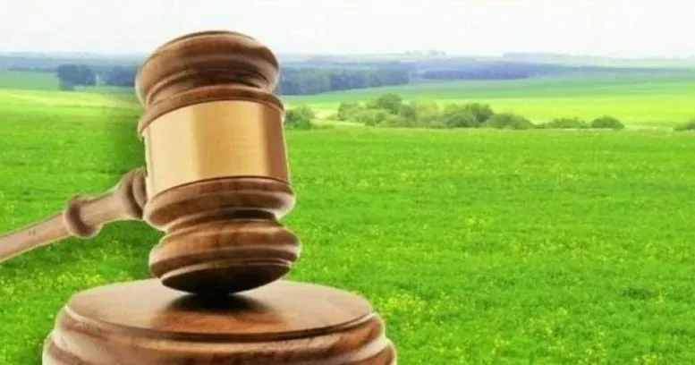 Ілюстративне фото Перші земельні аукціони відбулися в Зміївській громаді на порталі Gromada Group