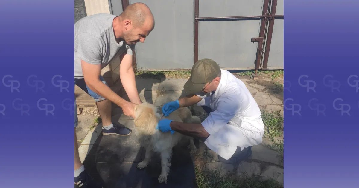 Фото - Держпродспоживслужба У Зміївській громаді триває вакцинація домашніх тварин від сказу на порталі Gromada Group