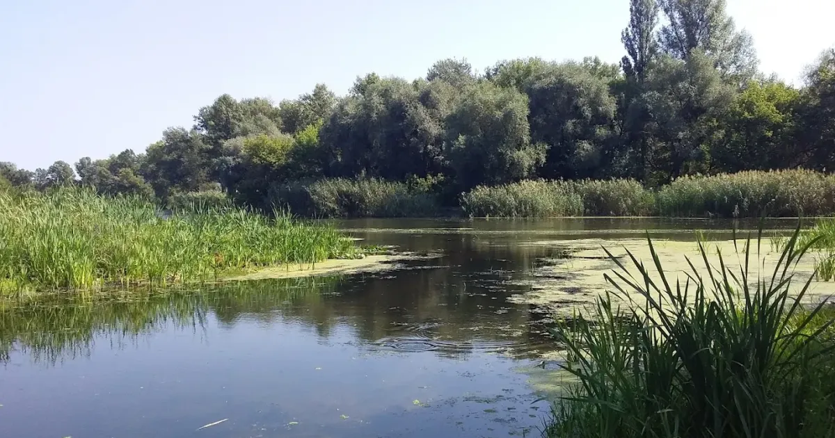 Сіверський Донець у районі Змієва. Фото з відкритих джерел Рівень води у Сіверському Дінці в районі Змієва наближається до мінімальної позначки на порталі Gromada Group