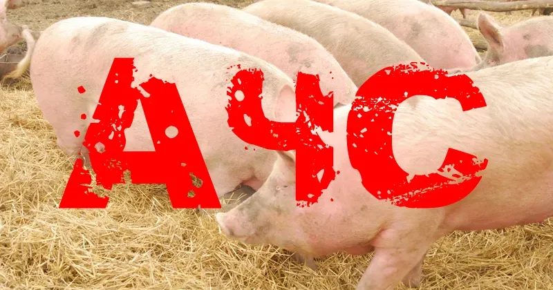 Ілюстративне фото Увага! Випадок АЧС на території Чугуївського району на порталі Gromada Group