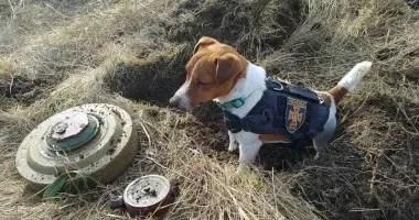 Фото з відкритих джерел 1 червня, у День захисту дітей, школярі запрошуються на Всеукраїнський інтерактивний онлайн-урок із мінної безпеки! Активні учасники отримають подарунки від ЮНІСЕФ
